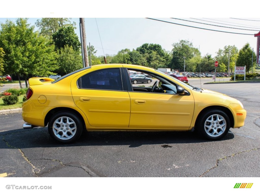 2002 Neon SXT - Solar Yellow / Dark Slate Gray photo #7