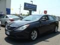 Indigo Blue Pearl - Sonata GLS Photo No. 1