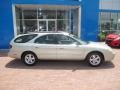 Gold Ash Metallic - Taurus SE Wagon Photo No. 3