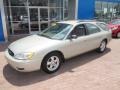 Gold Ash Metallic - Taurus SE Wagon Photo No. 10