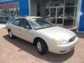 Gold Ash Metallic - Taurus SE Wagon Photo No. 12