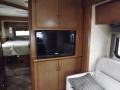 Citation Beige Graphics - Sprinter 3500 Passenger Conversion Van Photo No. 18