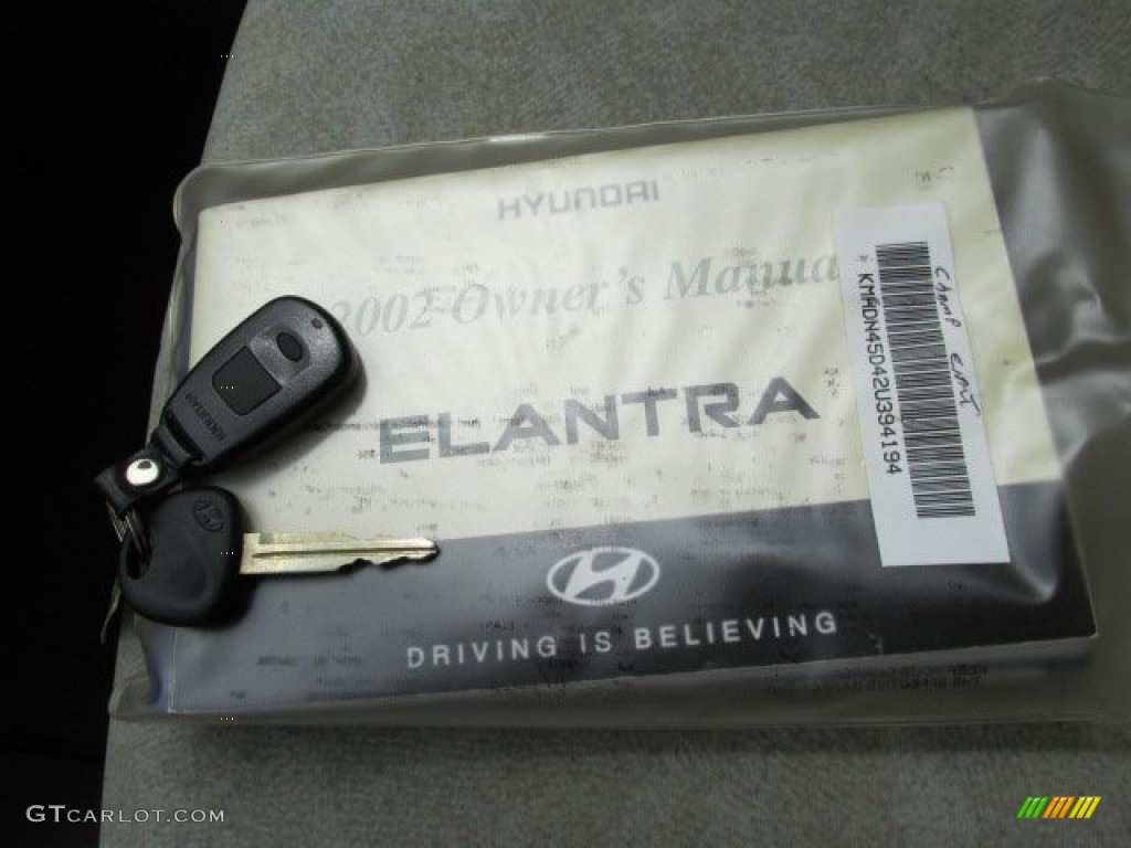 2002 Elantra GLS Sedan - Champagne Beige / Beige photo #18