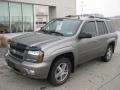 2007 Graystone Metallic Chevrolet TrailBlazer LT 4x4  photo #2