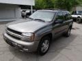 Graystone Metallic - TrailBlazer LS 4x4 Photo No. 4