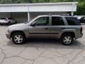 Graystone Metallic - TrailBlazer LS 4x4 Photo No. 5