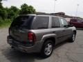 Graystone Metallic - TrailBlazer LS 4x4 Photo No. 8