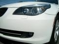Alpine White - 5 Series 528xi Sedan Photo No. 30