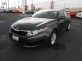 Platinum Graphite - Optima LX Photo No. 1