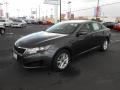 Platinum Graphite - Optima LX Photo No. 2