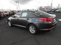Platinum Graphite - Optima LX Photo No. 3