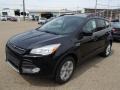 2013 Tuxedo Black Metallic Ford Escape SE 1.6L EcoBoost 4WD  photo #4