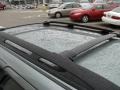 Light Tundra Metallic - Focus ZTW Wagon Photo No. 8