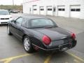 Evening Black - Thunderbird Premium Roadster Photo No. 4