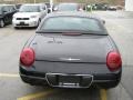 Evening Black - Thunderbird Premium Roadster Photo No. 5