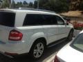 Arctic White - GL 450 4Matic Photo No. 1