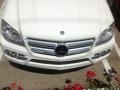 Arctic White - GL 450 4Matic Photo No. 9
