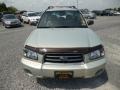 Champagne Gold Opalescent - Forester 2.5 XS Photo No. 2
