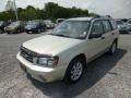 Champagne Gold Opalescent - Forester 2.5 XS Photo No. 3