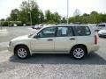 Champagne Gold Opalescent - Forester 2.5 XS Photo No. 8