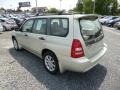 Champagne Gold Opalescent - Forester 2.5 XS Photo No. 9