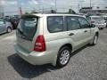 Champagne Gold Opalescent - Forester 2.5 XS Photo No. 11