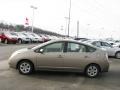 Driftwood Pearl - Prius Hybrid Photo No. 2