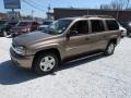 2003 Sandalwood Metallic Chevrolet TrailBlazer EXT LT 4x4  photo #10