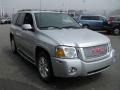 Quicksilver Metallic - Envoy Denali 4x4 Photo No. 10