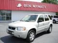 2003 Gold Ash Metallic Ford Escape Limited 4WD  photo #1