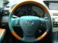 2010 Obsidian Black Lexus RX 350 AWD  photo #13