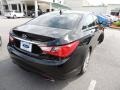 2011 Black Plum Pearl Hyundai Sonata SE  photo #14