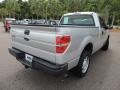 2010 Ingot Silver Metallic Ford F150 XL Regular Cab  photo #9