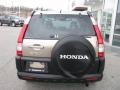 2005 Sahara Sand Metallic Honda CR-V EX 4WD  photo #5