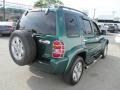 2004 Timberline Green Pearl Jeep Liberty Limited 4x4  photo #7