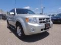 Silver Metallic - Escape Limited 4WD Photo No. 9