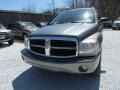 2005 Mineral Gray Metallic Dodge Durango SLT 4x4  photo #12