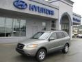 2008 Natural Khaki Green Hyundai Santa Fe GLS 4WD  photo #1