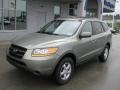 2008 Natural Khaki Green Hyundai Santa Fe GLS 4WD  photo #2