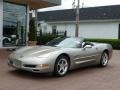 Light Pewter Metallic 2000 Chevrolet Corvette Convertible