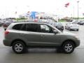 2008 Natural Khaki Green Hyundai Santa Fe GLS 4WD  photo #7