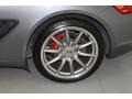 Seal Grey Metallic - Cayman S Photo No. 13