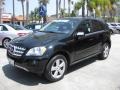 Black - ML 350 Photo No. 5