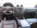 Black - ML 350 Photo No. 19