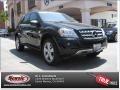 Black - ML 350 Photo No. 26