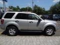 Ingot Silver Metallic - Escape XLS Photo No. 7