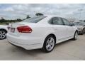 Candy White - Passat TDI SEL Photo No. 2