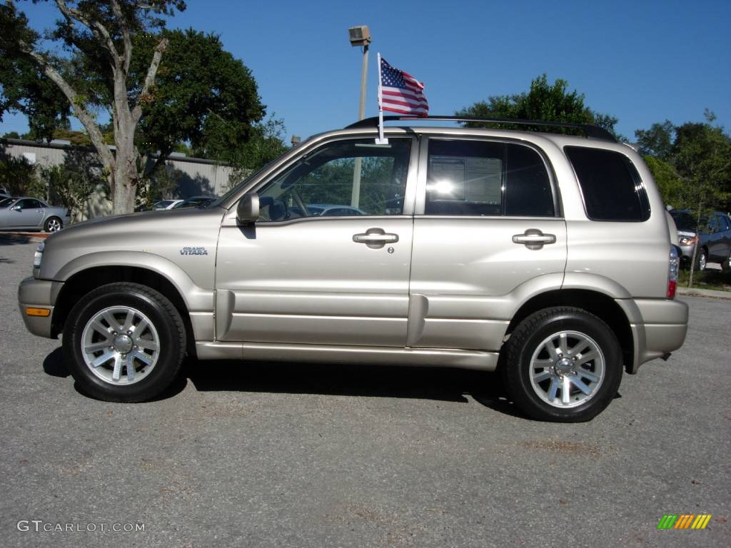 2004 Grand Vitara EX 4WD - Cool Beige Metallic / Beige photo #2