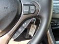 Graphite Luster Metallic - TSX Sedan Photo No. 17