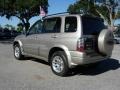 Cool Beige Metallic - Grand Vitara EX 4WD Photo No. 3